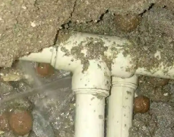 高要测漏水多少钱