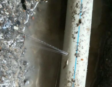 高要测漏水哪家好