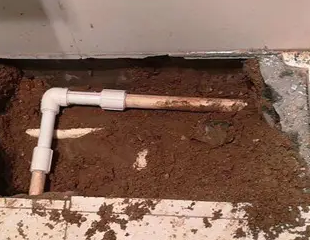 高要测漏水哪家好