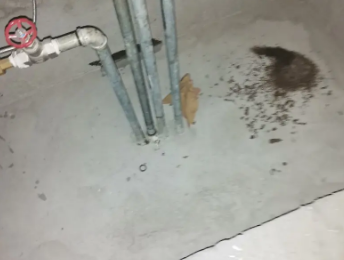 高要卫生间测漏水价格明细