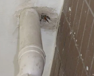 高要漏水检测哪家好